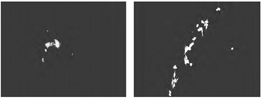 1618454270584043.jpg 圖41.jpg